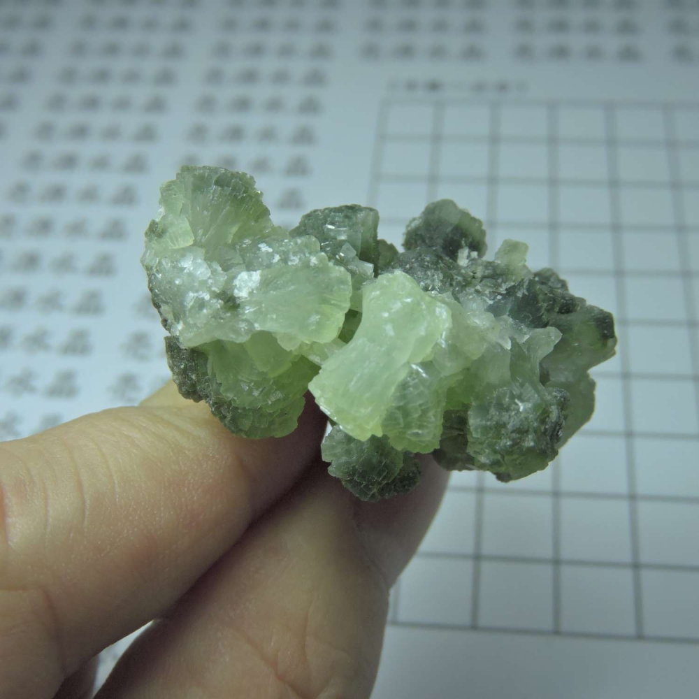 ~0129~蝴蝶結葡萄石~領結葡萄石~23~790-細節圖5