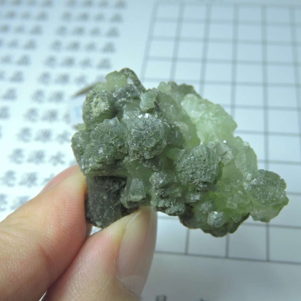 ~0129~蝴蝶結葡萄石~領結葡萄石~23~790-細節圖6