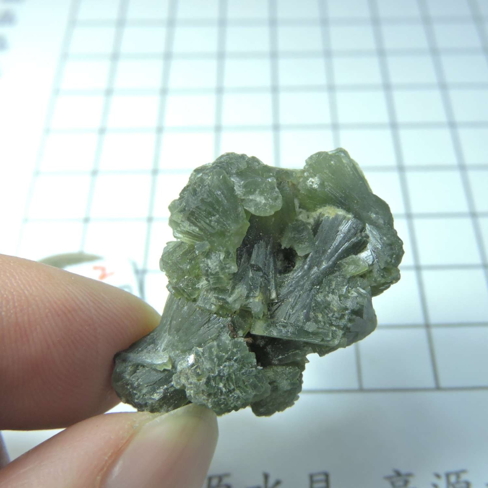 ~0129~蝴蝶結葡萄石~領結葡萄石~22~610-細節圖3