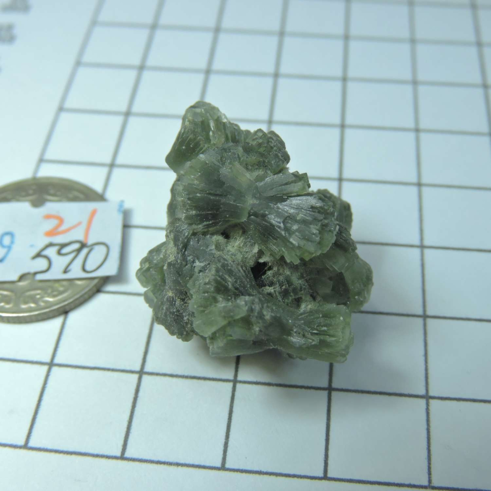 ~0129~蝴蝶結葡萄石~領結葡萄石~21~590-細節圖2