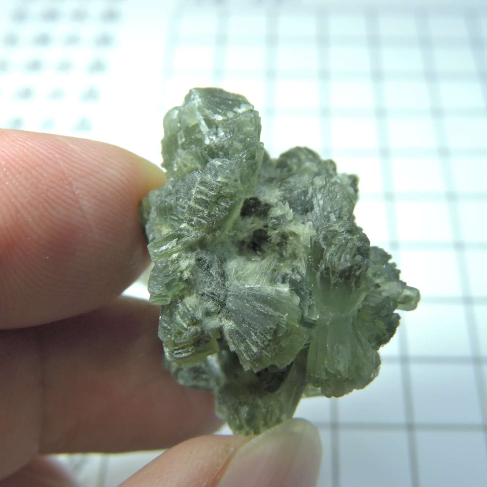 ~0129~蝴蝶結葡萄石~領結葡萄石~21~590-細節圖3