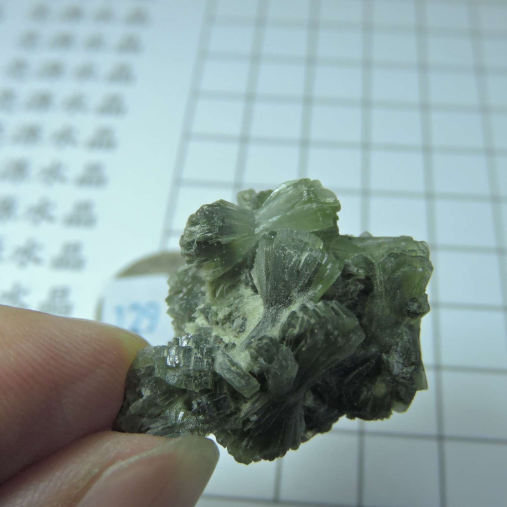 ~0129~蝴蝶結葡萄石~領結葡萄石~21~590-細節圖4