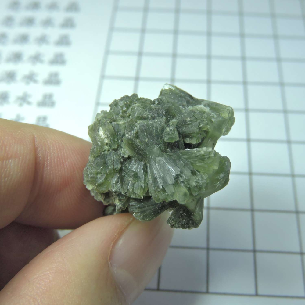 ~0129~蝴蝶結葡萄石~領結葡萄石~21~590-細節圖5