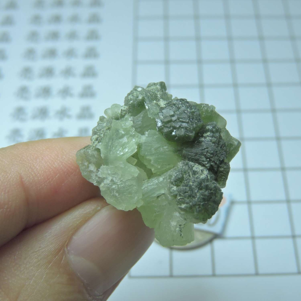 ~0129~蝴蝶結葡萄石~領結葡萄石~40~480-細節圖2