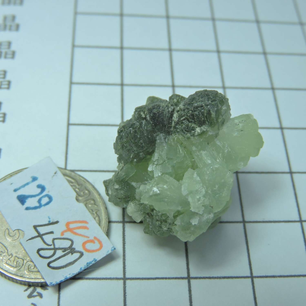 ~0129~蝴蝶結葡萄石~領結葡萄石~40~480-細節圖5