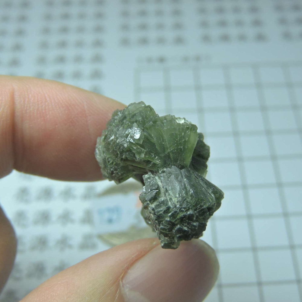 ~0129~蝴蝶結葡萄石~領結葡萄石~39~580-細節圖6