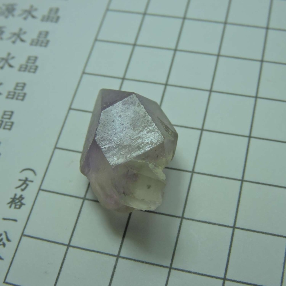 ~0209~記憶水晶~紫骨幹~05~280-細節圖4