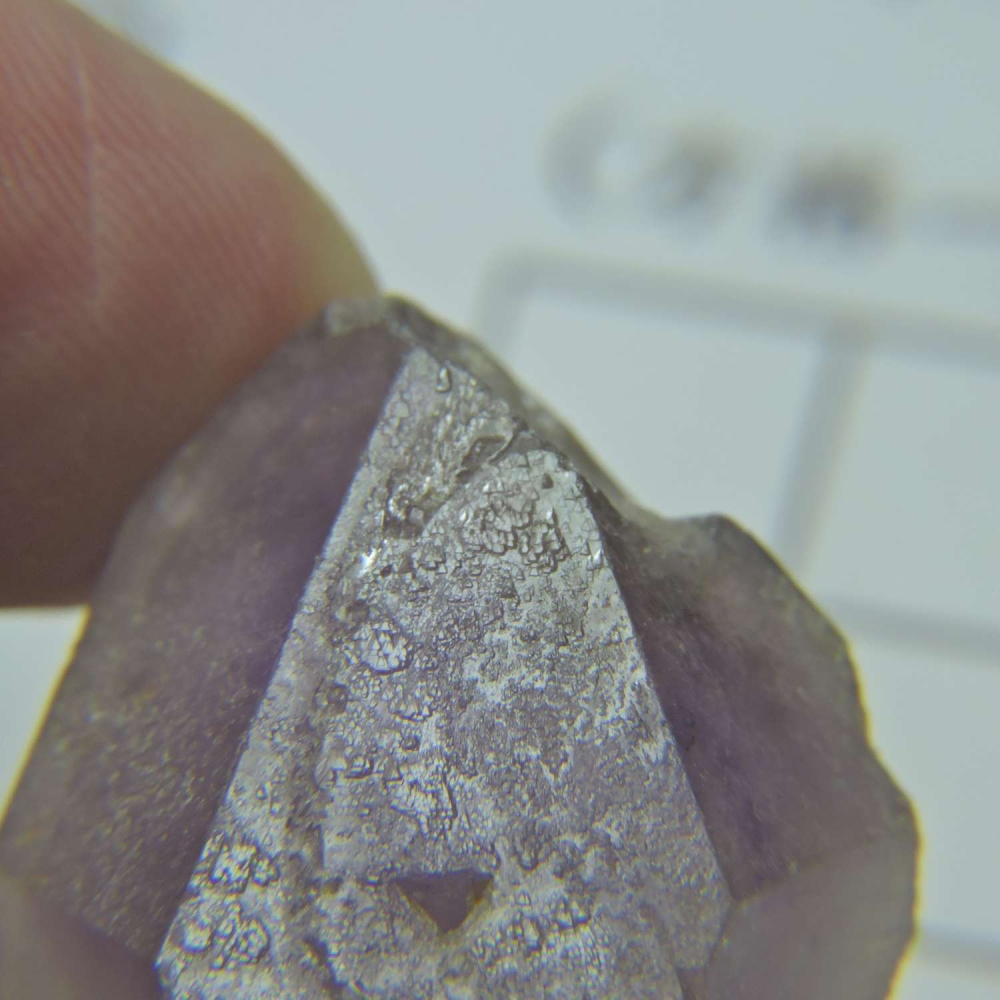 ~0209~記憶水晶~紫骨幹~11~350-細節圖2