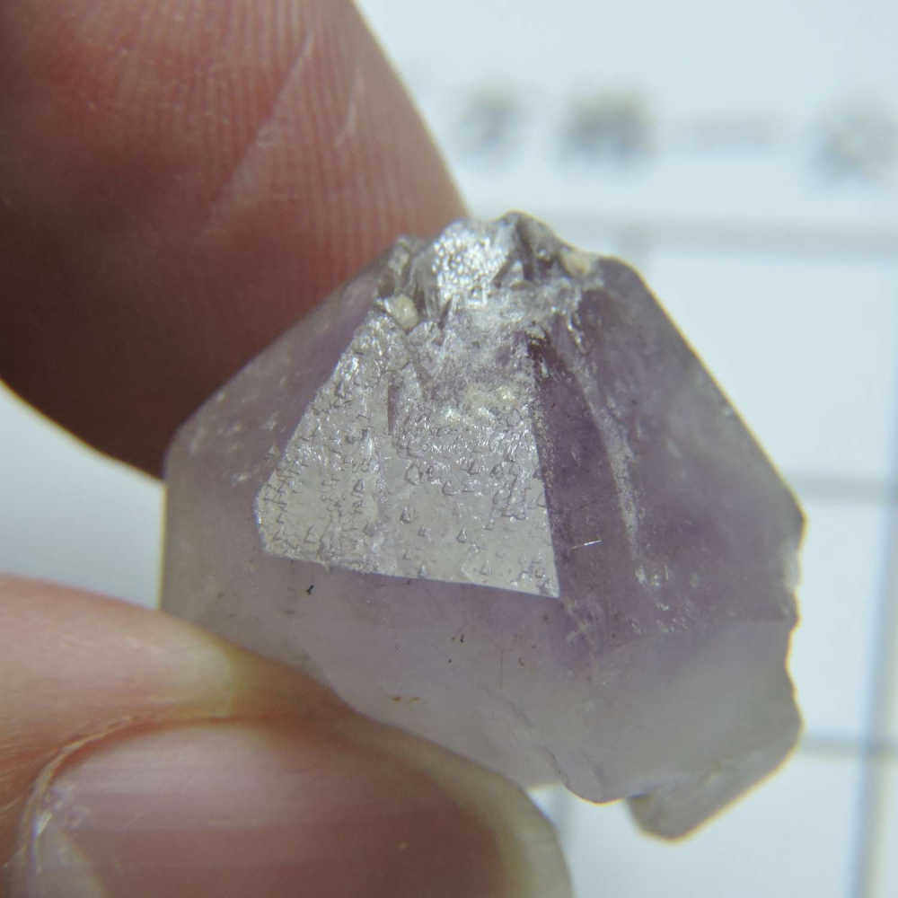 ~0209~記憶水晶~紫骨幹~23~230-細節圖2