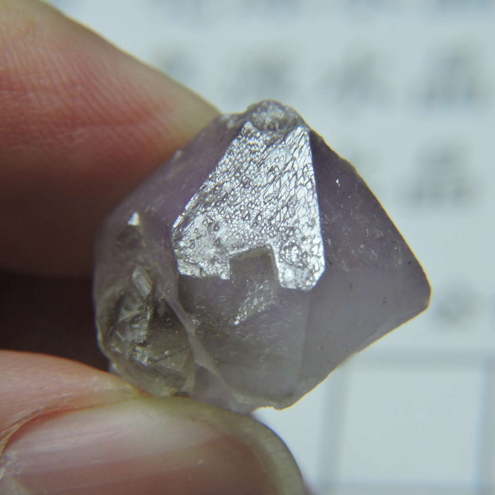 ~0209~記憶水晶~紫骨幹~23~230-細節圖3