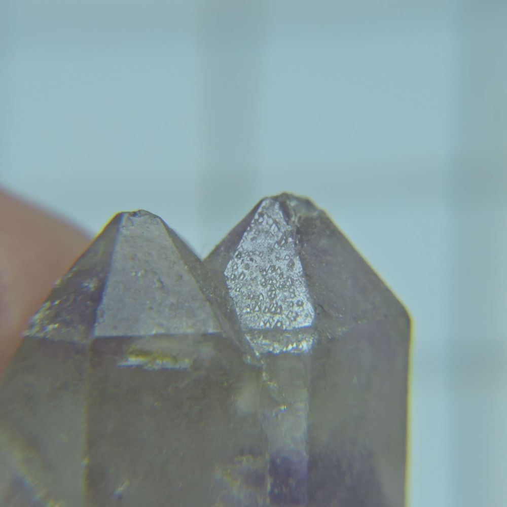 ~0209~記憶水晶~紫骨幹~21~320-細節圖2