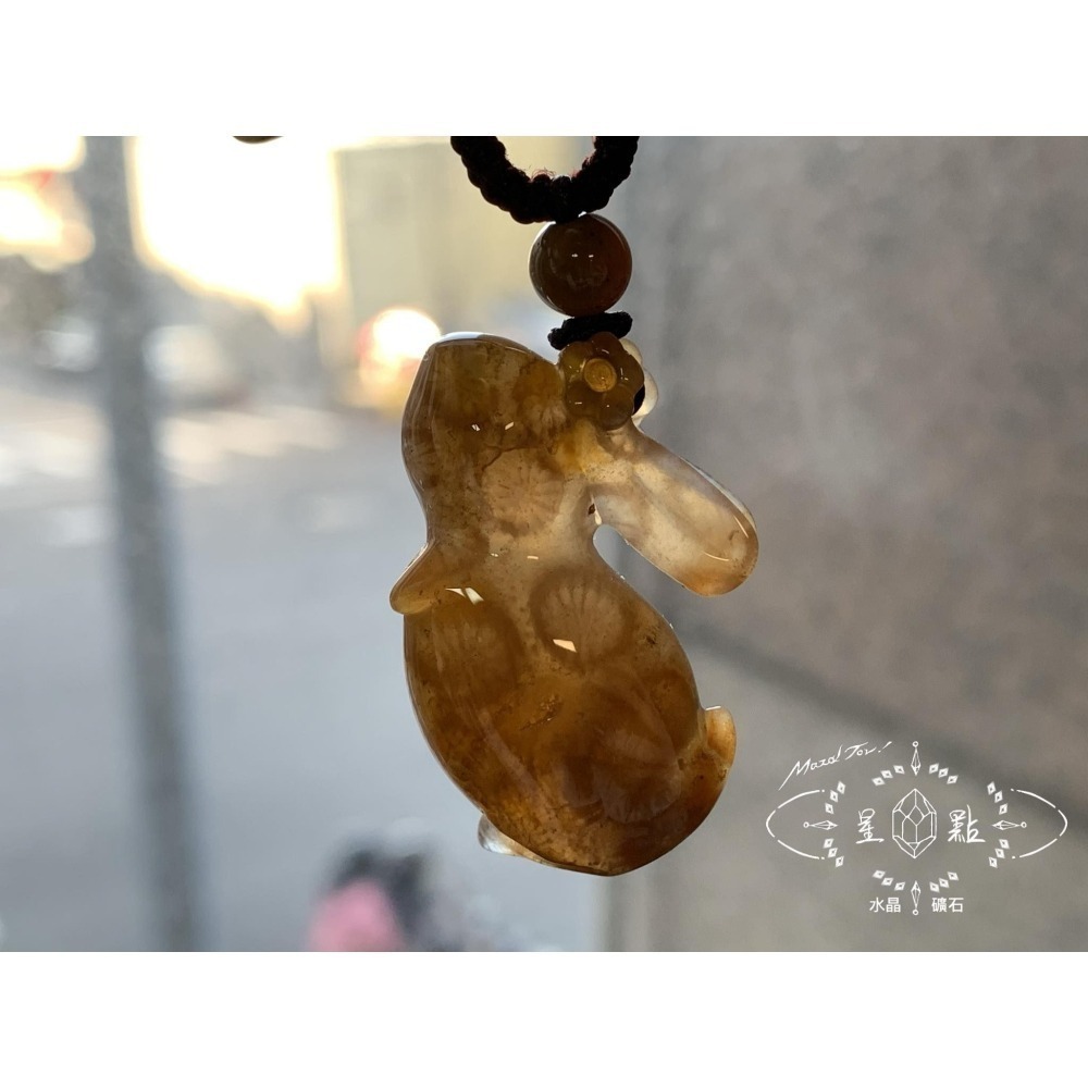 珊瑚玉仰望兔兔項鍊2402-細節圖4