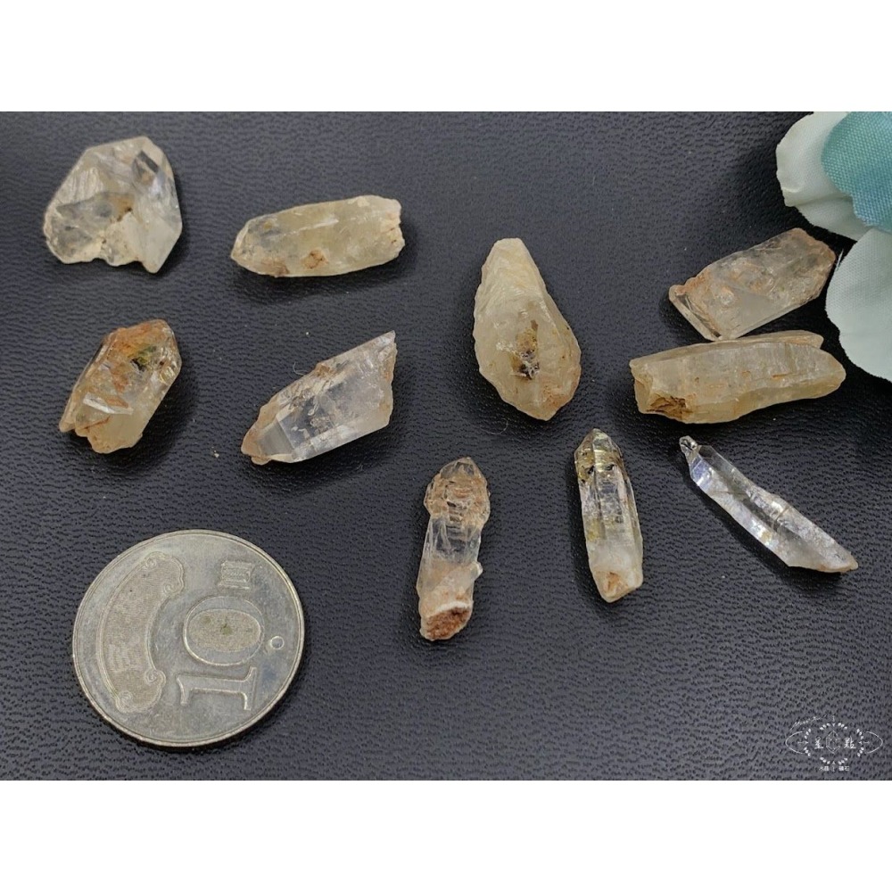 骨骸小骨幹~油膽骨骸小骨幹-細節圖2