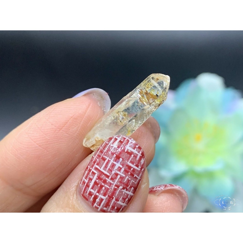 骨骸小骨幹~油膽骨骸小骨幹-細節圖3