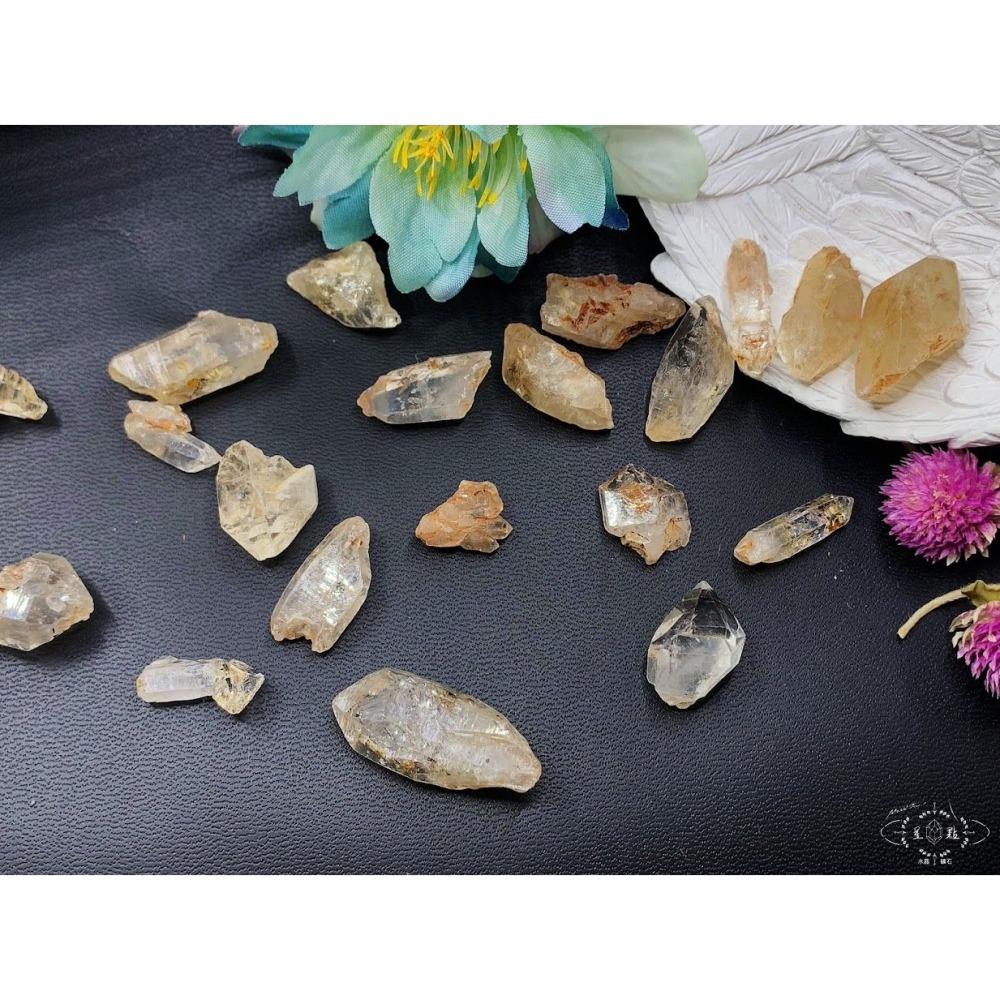 骨骸小骨幹~油膽骨骸小骨幹-細節圖7