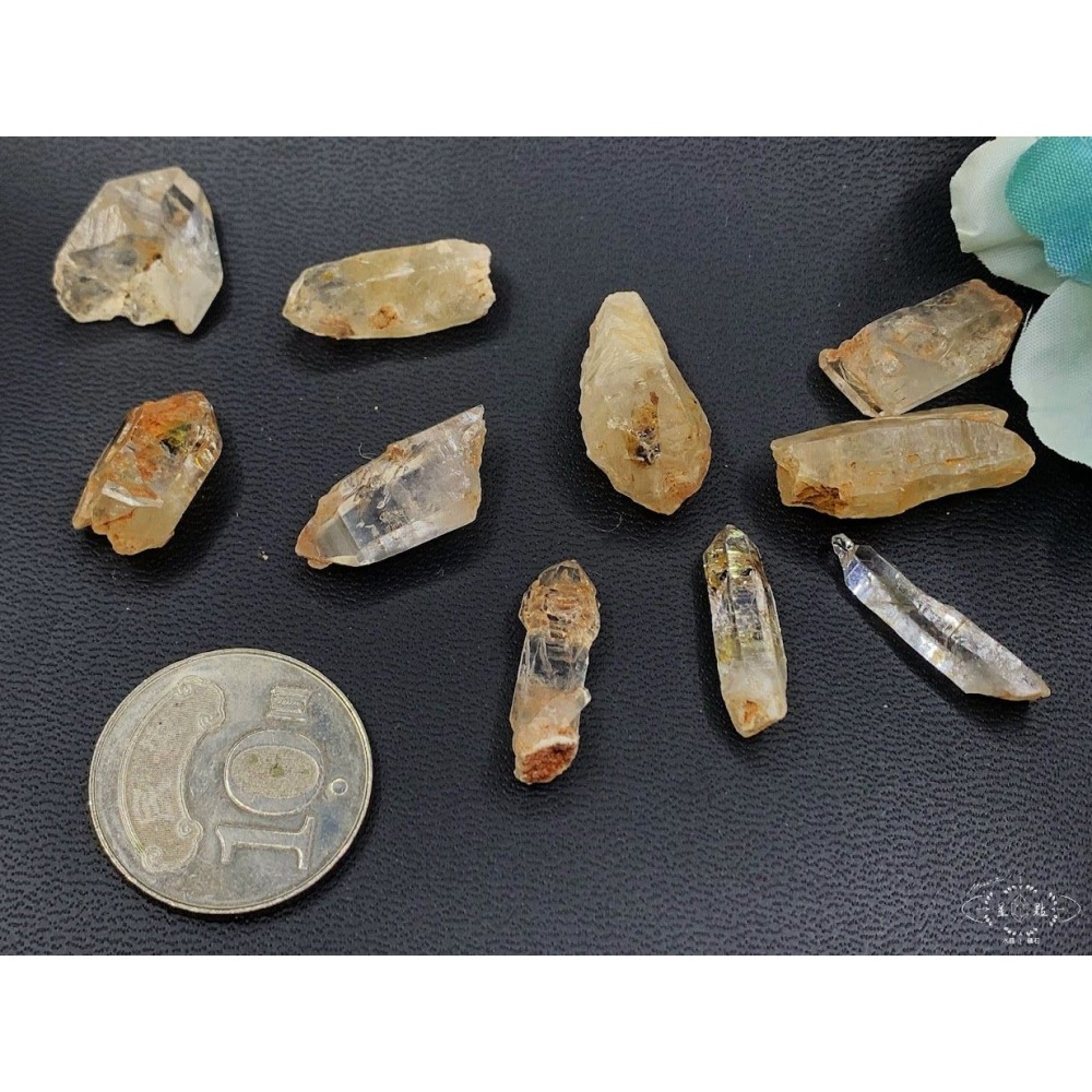 骨骸小骨幹~油膽骨骸小骨幹-細節圖8