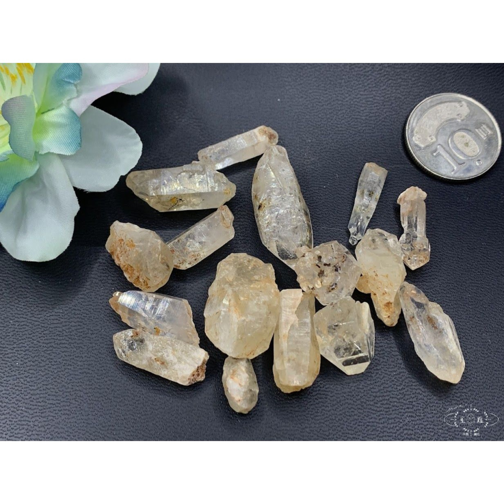 骨骸小骨幹~油膽骨骸小骨幹-細節圖4