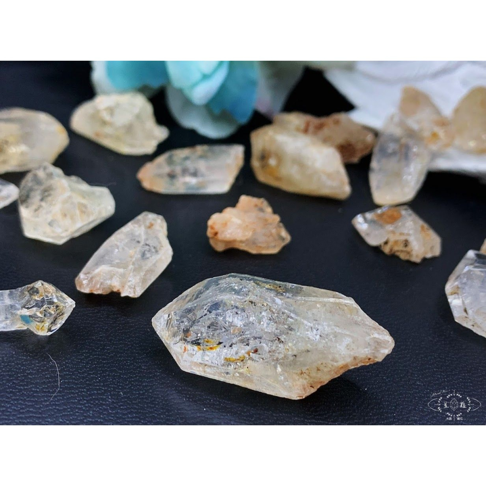 骨骸小骨幹~油膽骨骸小骨幹-細節圖5