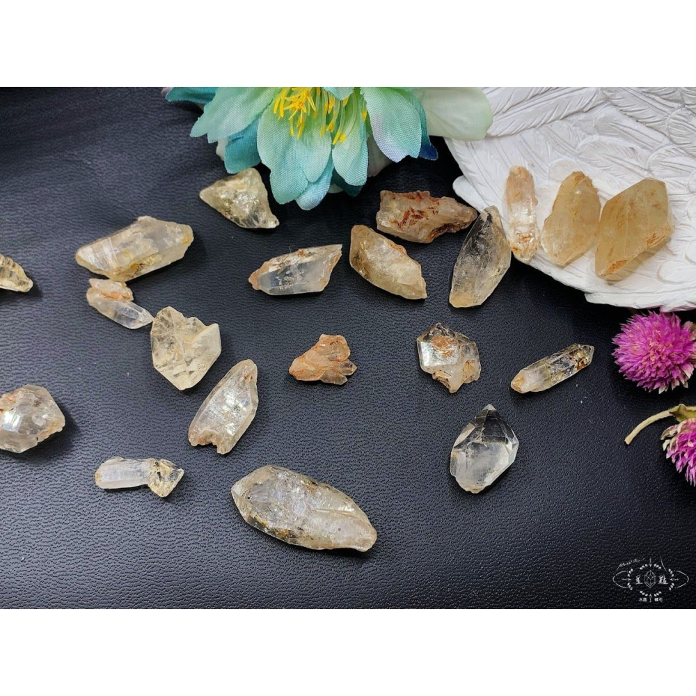 骨骸小骨幹~油膽骨骸小骨幹-細節圖7