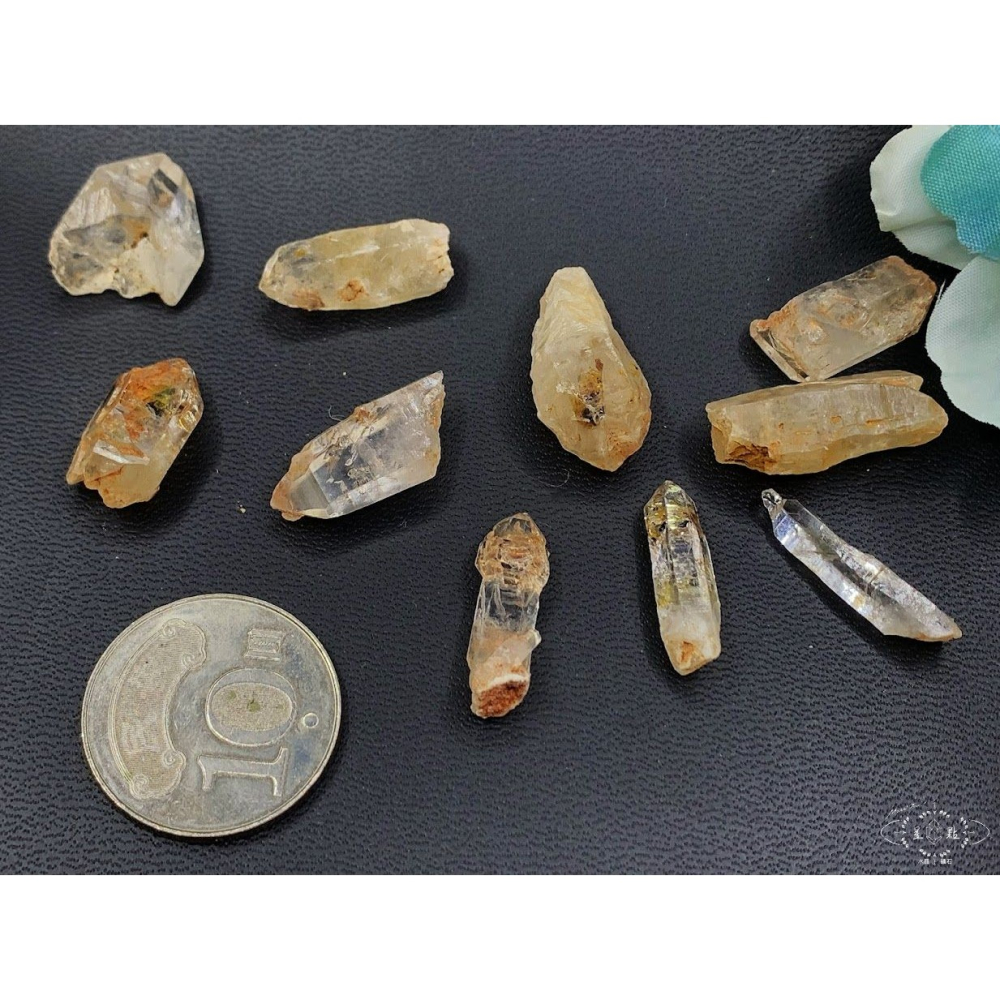 骨骸小骨幹~油膽骨骸小骨幹-細節圖8