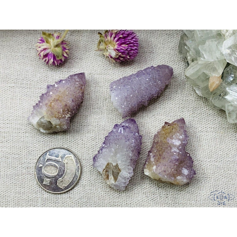 南非仙人掌水晶~精靈水晶-細節圖3