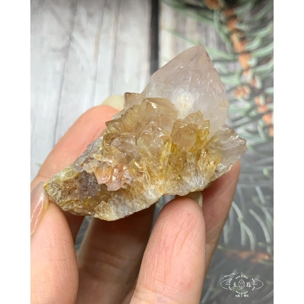 Threads上傳（#4~#29）-細節圖3