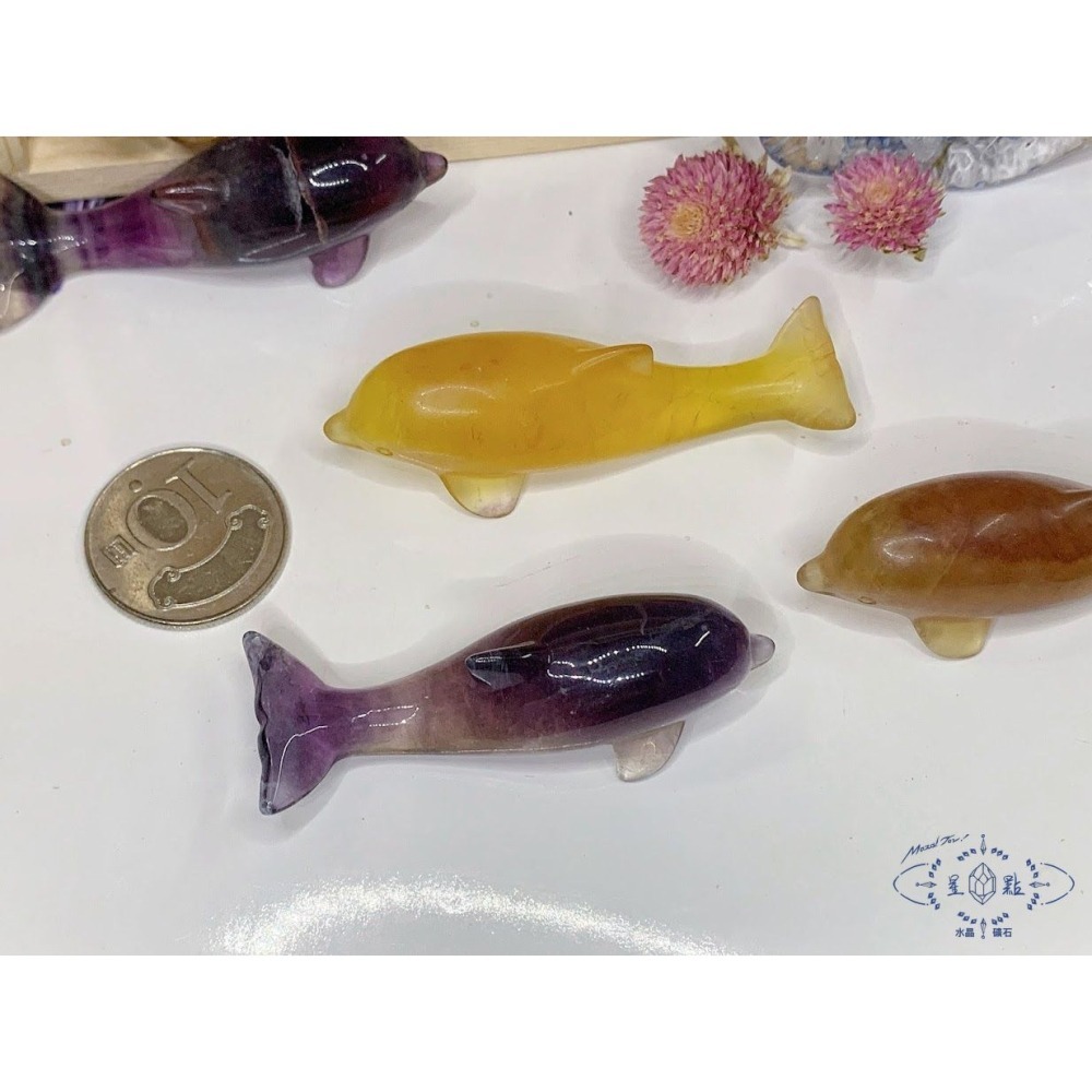 螢石海豚2505-細節圖3