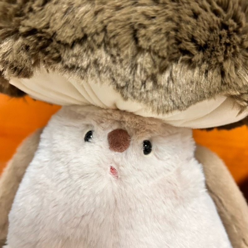 【阿皮小舖】現貨 SUNNYMORE 香菇 蘑菇 玩偶 娃娃 合售-細節圖2