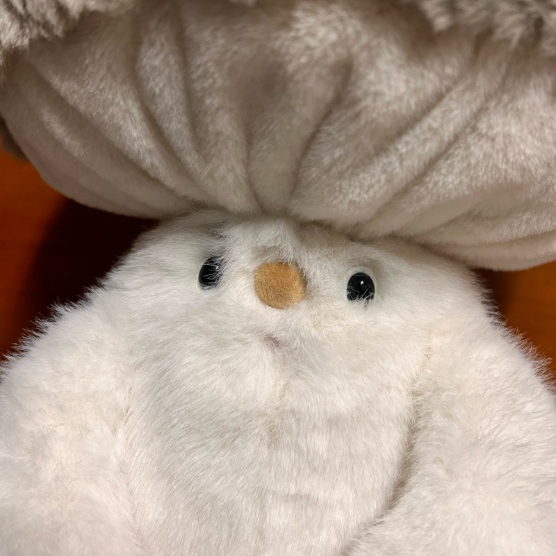 【阿皮小舖】現貨 SUNNYMORE 香菇 蘑菇 玩偶 娃娃 合售-細節圖3