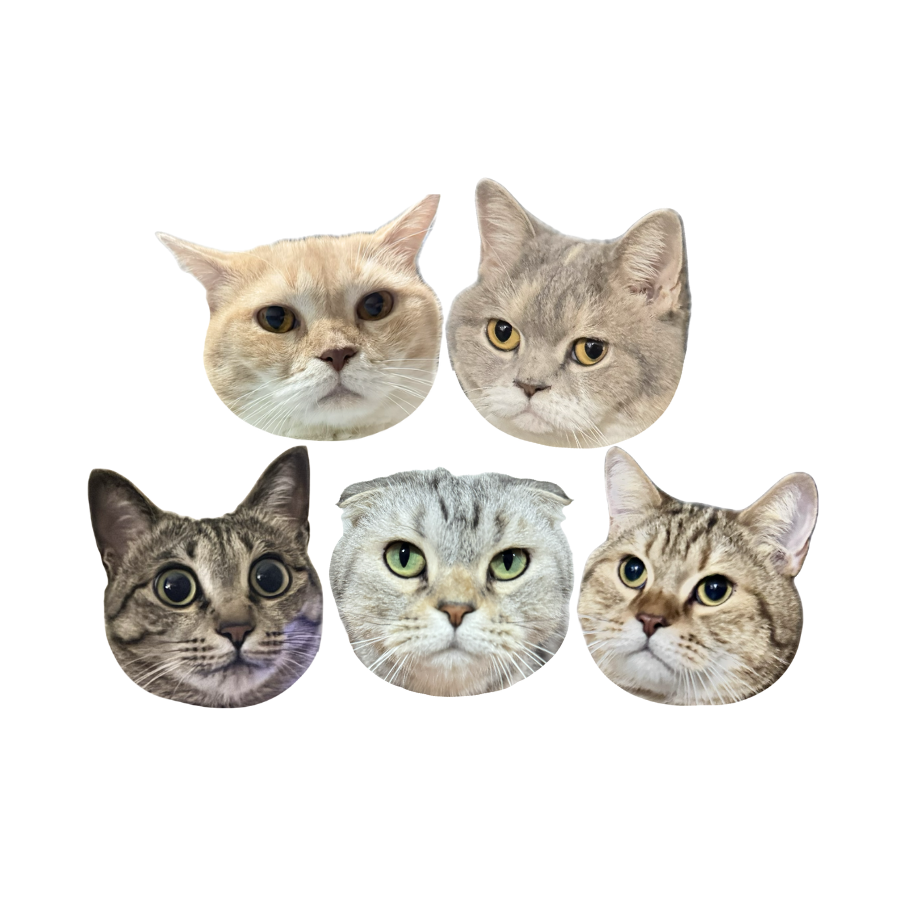 掛繩一組(銀灰色)580+照片80