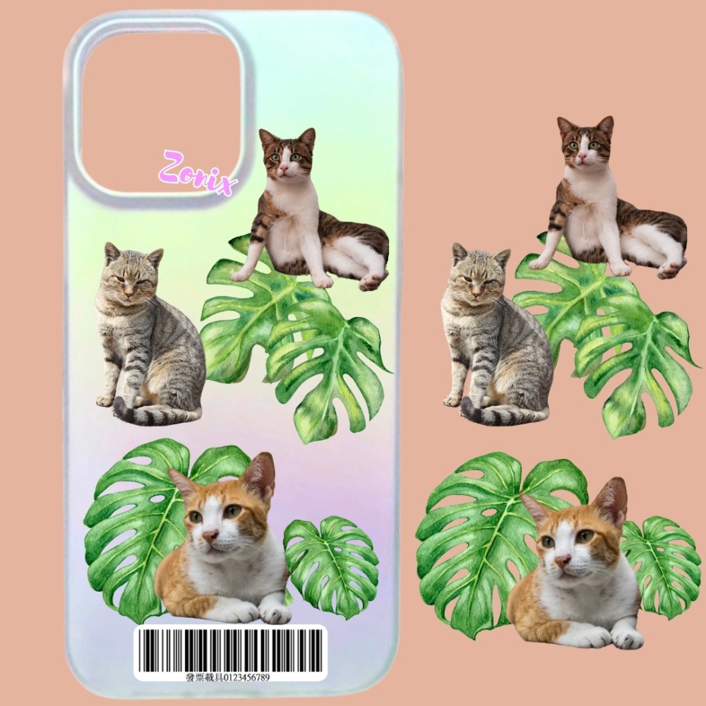 來圖訂製 客製化商品 磁吸絢彩防摔殼 照片客製化 創意禮品推薦-細節圖5