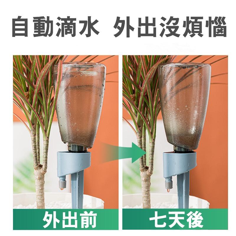 【藍總監】澆花神器 出差外出 自動澆水器 澆花器 滴水器 懶人定時滴水器  外出神器 滴水器 花盆滴水器 花盆澆花器-細節圖3