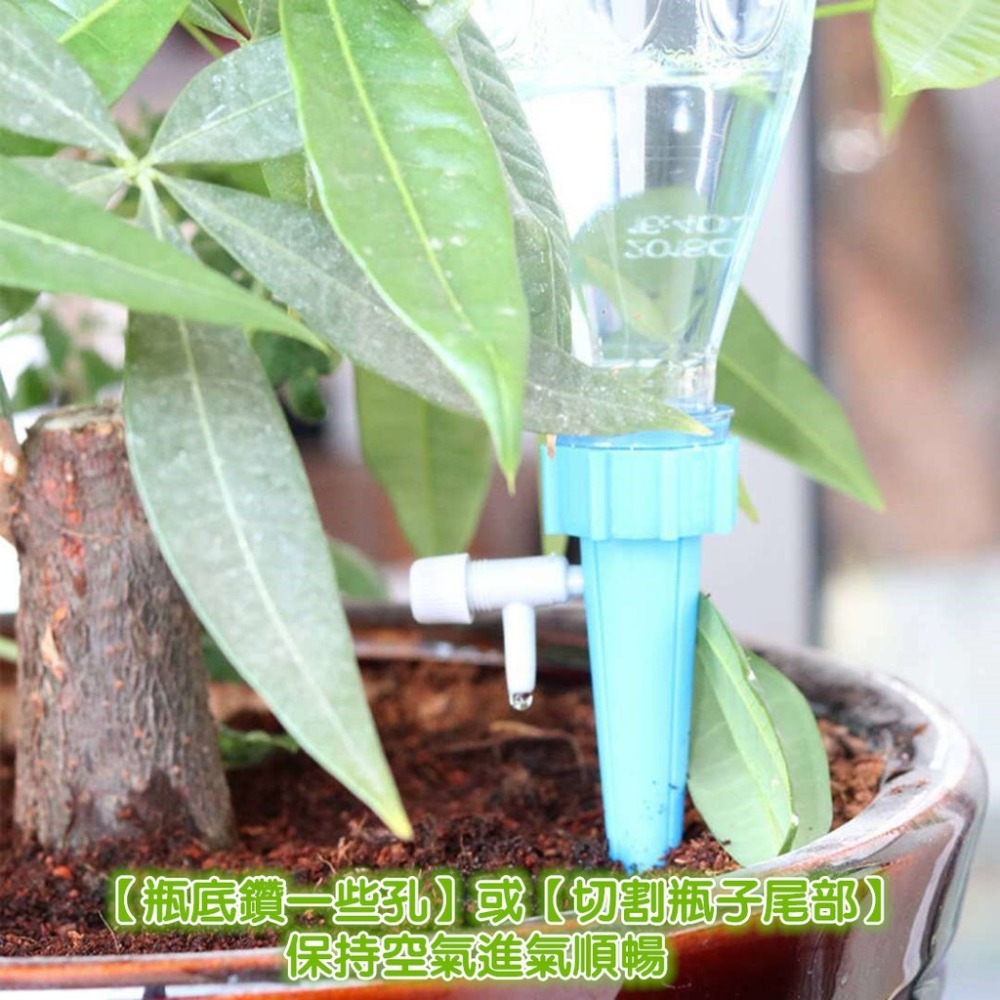 ✨全館免運✨ 升級款自動滴水器 可調式澆水器 自動澆水 澆水器 澆花器 澆花神器 外出免擔心 澆花器 簡易滴水器-細節圖3