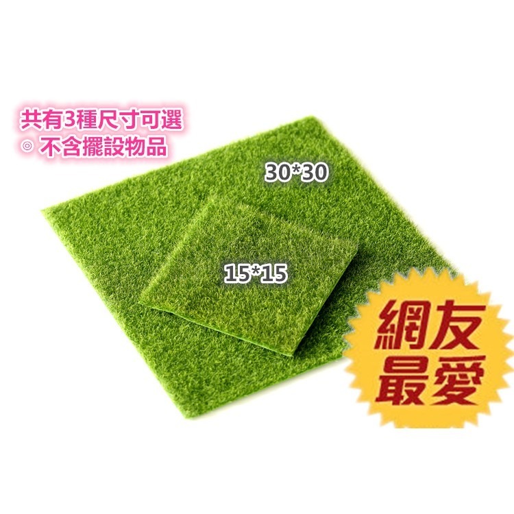 【藍總監】30*30仿真假草皮 拍攝用草皮 微景觀仿真苔藓假草皮 仿真苔蘚 假草皮 裝飾草皮 拍照道具 仿真草皮 草皮-細節圖9