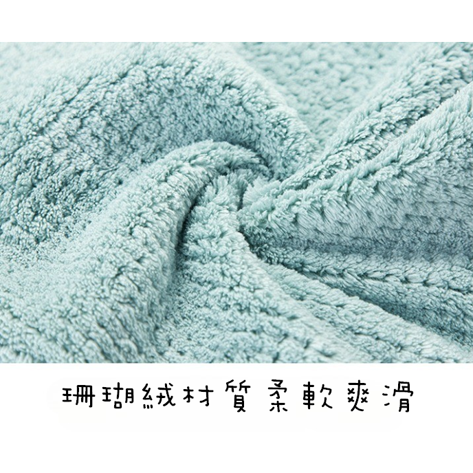 【藍總監】珊瑚絨抹布 擦拭布 抹布 百潔布 擦車布 洗碗布 洗碗巾 強力吸水抹布 廚房抹布不沾油 不掉毛超細纖維-細節圖6