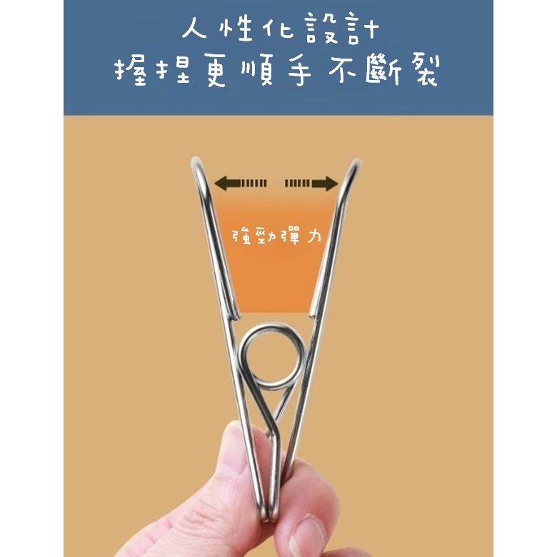 ✨全館免運✨ 不鏽鋼夾子 晾衣夾 防風夾 棉被夾 彈簧夾 菜單夾 萬用 衣夾 曬衣夾 夾 不繡鋼 小夾子 床單夾 曬衣-細節圖5