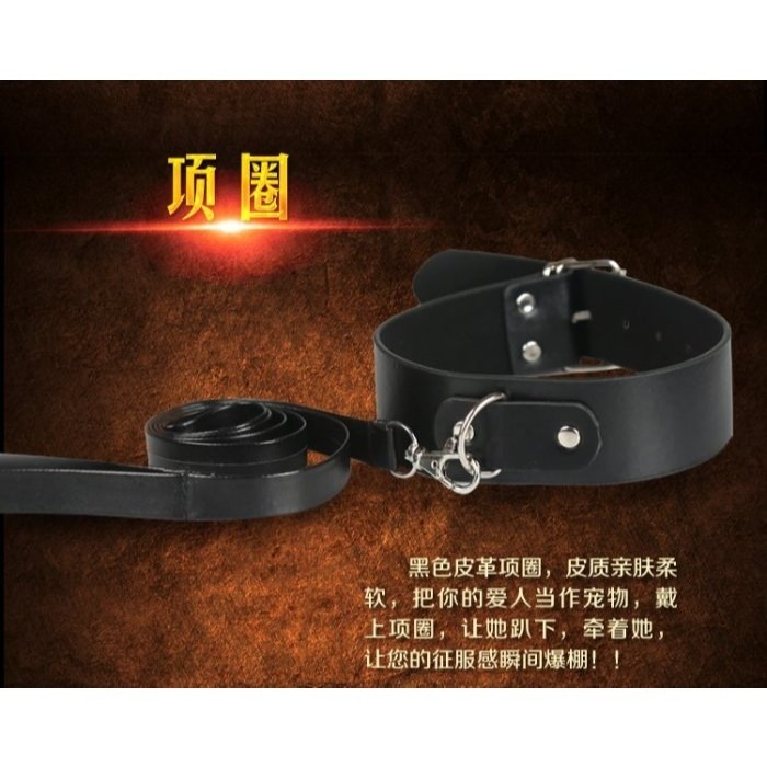 (快速出貨-桃園)情趣 道具 SM 女王 皮革 九件組(皮鞭,眼罩,手銬,項圈,綑綁繩,口球,手拍,乳夾)調教,綑綁,虐-細節圖5