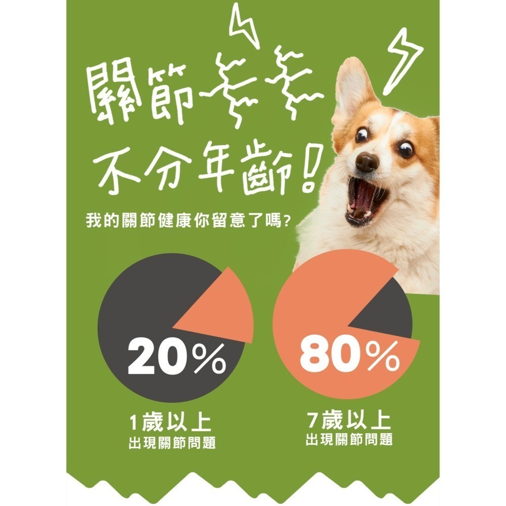 【姆比】IN Plus犬用保健品 骨力補-關節心臟強化配方、高校活化益生菌 護眼晶草本💚寵物保健 腸益菌 寵物關節-細節圖2