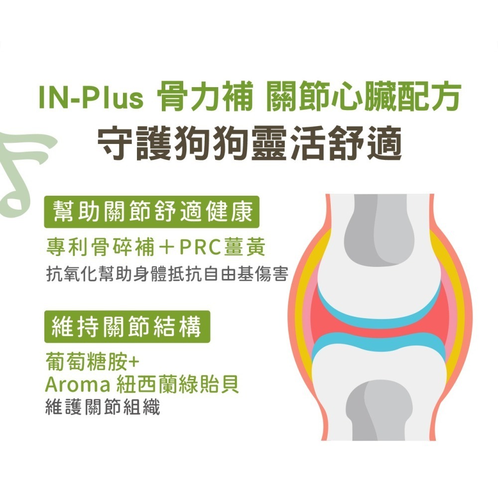 【姆比】IN Plus犬用保健品 骨力補-關節心臟強化配方、高校活化益生菌 護眼晶草本💚寵物保健 腸益菌 寵物關節-細節圖3