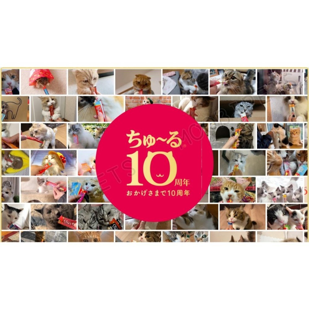 【姆比】CIAO INABA狗狗肉泥🔥 🇯🇵日本製原廠正品 汪啾嚕肉泥 犬肉泥 CIAO肉泥 狗零食 犬零食 狗狗獎勵-細節圖2