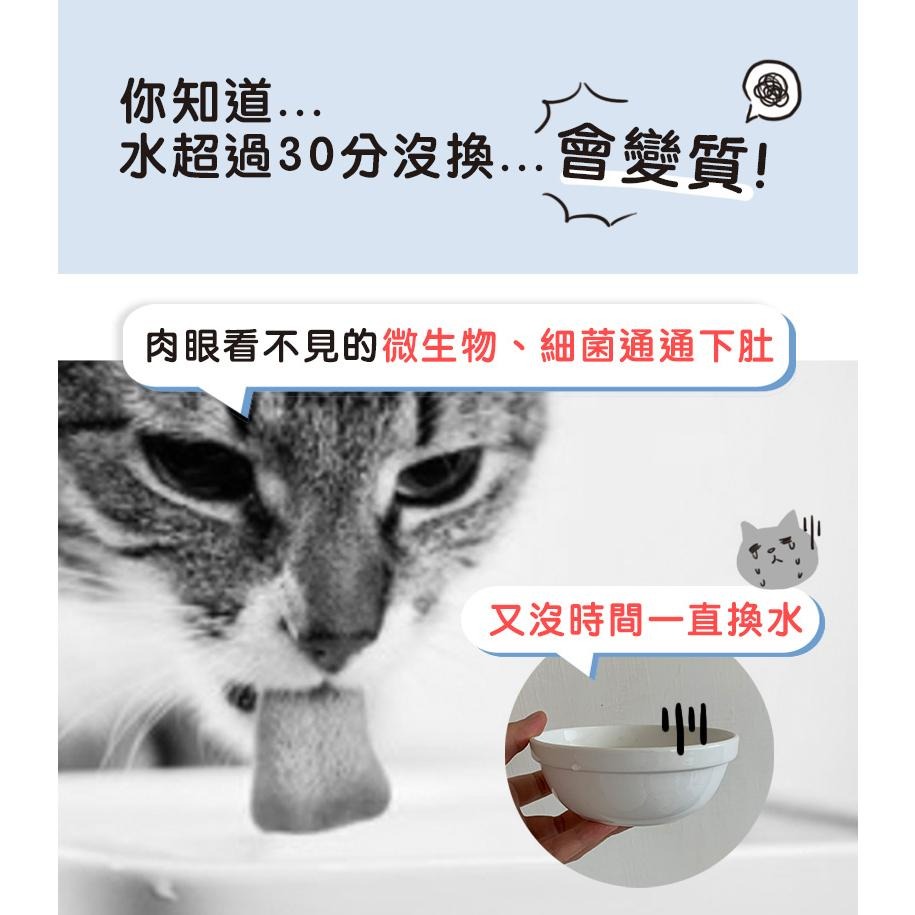 【姆比】喝水/飼料保鮮 好喵招🐈 下殺❗(可混搭) 寵物飼料保鮮乾燥活性碳包 飲水過濾活性碳 寵物飲水炭片 飼料乾燥-細節圖7