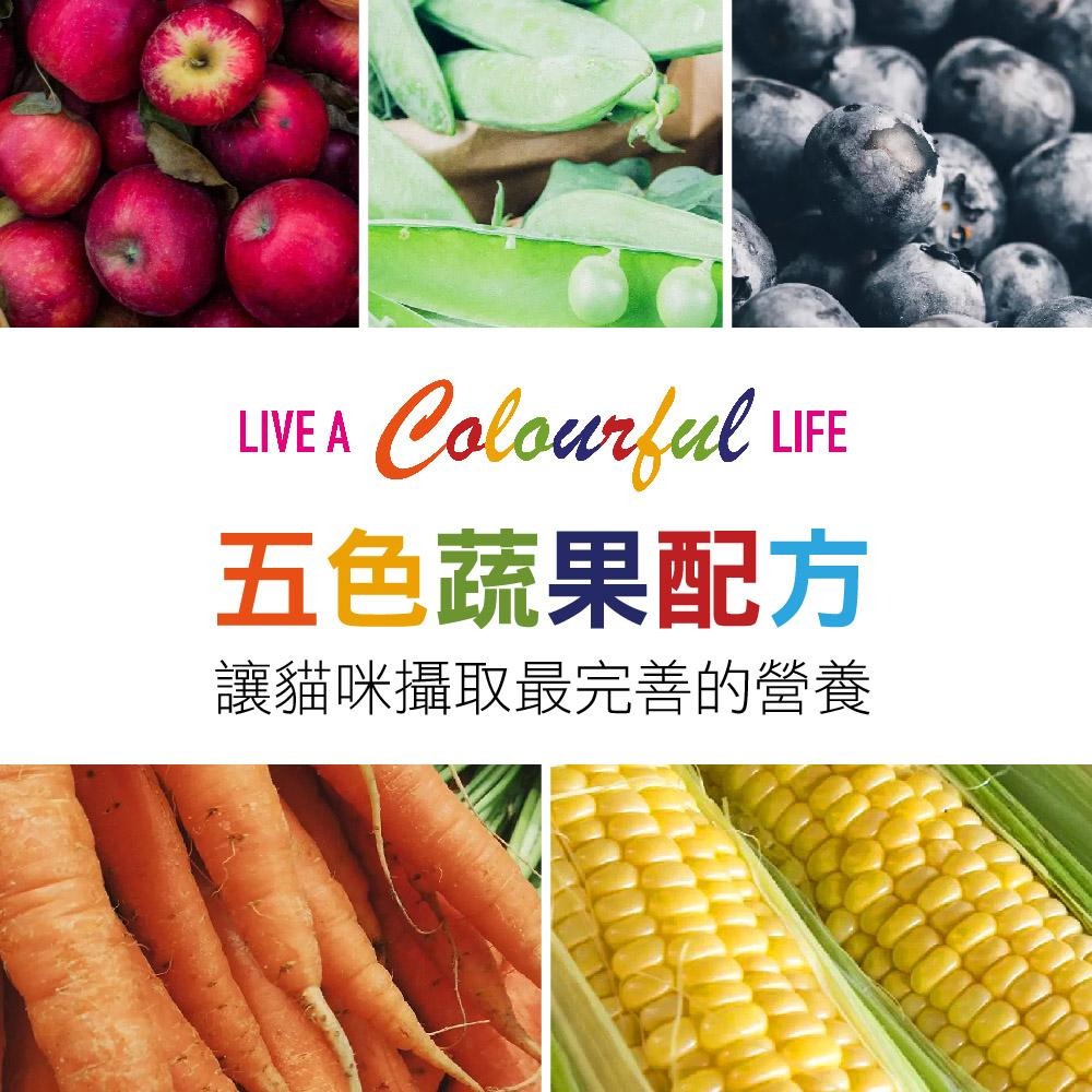 【姆比】德國🇩🇪 Vitakraft Vita 珀斯女王 金采 主食罐 貓咪主食罐 貓主食罐 幼貓罐 肉泥罐 肉凍罐 貓-細節圖2