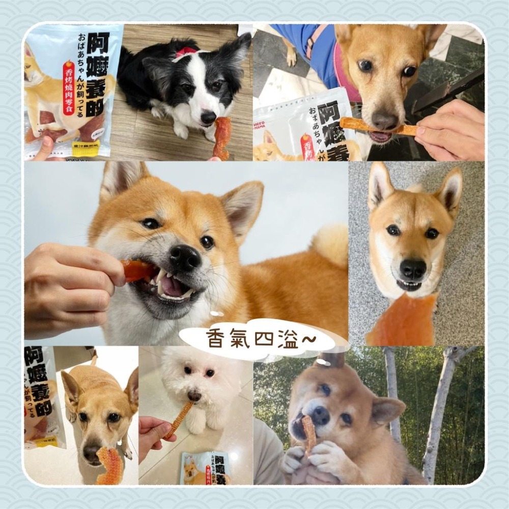 【姆比】HeroMama 阿嬤養的 香烤燒肉零食 100g 台灣製造 嚴選優質鮮肉 狗零食 犬零食 寵物零食 寵物肉乾-細節圖5