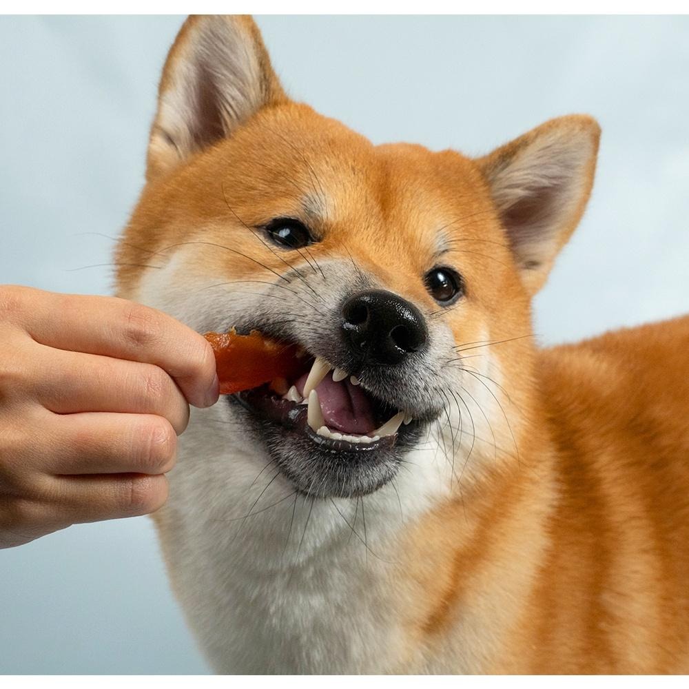 【姆比】HeroMama 阿嬤養的 香烤燒肉零食 100g 台灣製造 嚴選優質鮮肉 狗零食 犬零食 寵物零食 寵物肉乾-細節圖7