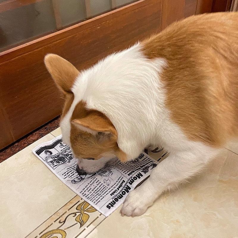 【姆比】響紙發聲玩具🃏 寵物發聲玩具 啃咬玩具 撲克牌 報紙 造型 狗玩具 貓玩具 犬貓玩具 狗紓壓 貓紓壓 撕咬玩具-細節圖9