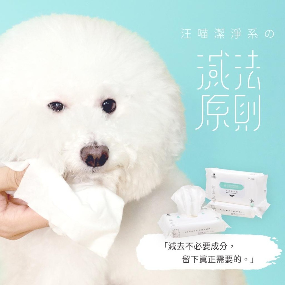 【姆比】汪喵濕式衛生紙🧻 可沖馬桶 46抽/包&12抽/隨身包 寵物濕紙巾 寵物濕巾 寵物專用濕紙巾 濕紙巾 汪喵星球-細節圖2