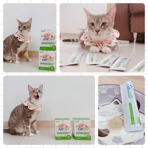 【姆比】IN-PLUS 犬貓保健全系列(單條販售)自由搭配👍 益生菌 骨力補 離胺酸 牛磺酸 蔓越莓 貓用保健 犬用保健-細節圖3