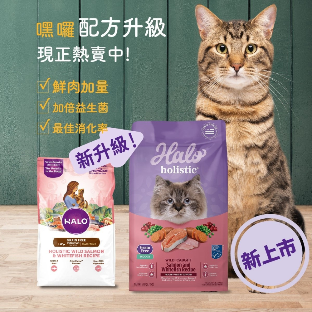 【姆比】HALO嘿囉 貓飼料 WDJ 無穀齡肉粉 貓咪飼料 無穀飼料 無穀貓飼料 嘿囉無穀 HALO飼料 嘿囉 幼貓飼料-細節圖2