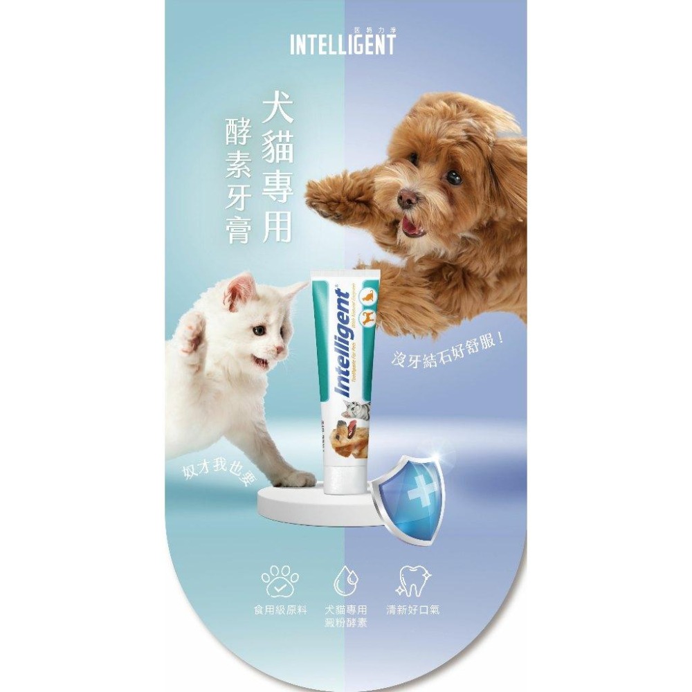 【姆比】Intelligent 因特力淨 寵物牙膏 酵素牙膏 寵物牙膏 貓牙膏 寵物潔牙 牙膏 貓潔牙 狗潔牙 狗牙膏-細節圖2