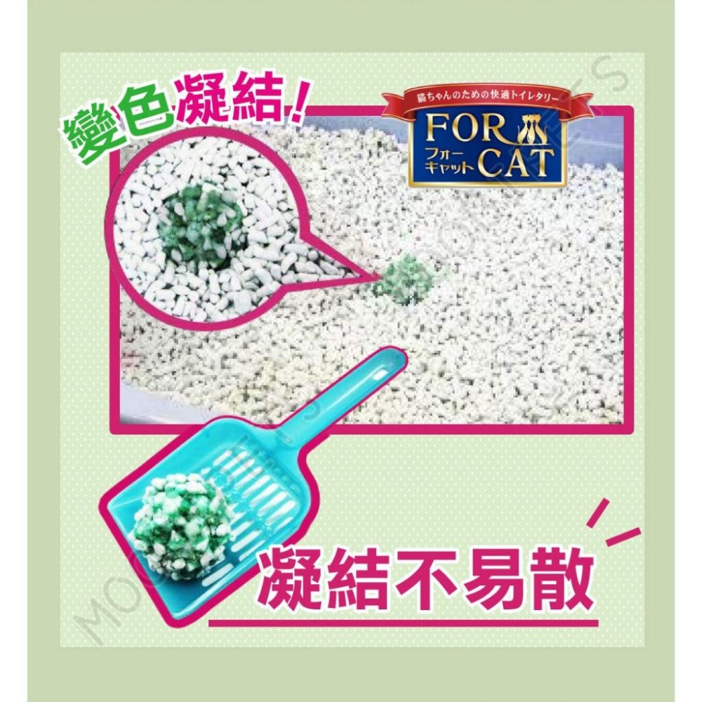 【姆比】日本🇯🇵 FOR CAT 變色凝結紙貓砂 可沖馬桶🚽7L、6.5L 紙砂 貓砂 紙貓砂 貓紙砂 消臭芳香貓砂-細節圖2